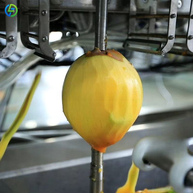 Maßgeschneiderte automatische  – Ice Cream Pasteurizer Machine Bewertung und Preis